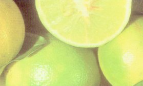 Le fruit du Citrus bergamia (bergamote).