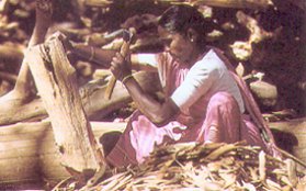 Le sental est un bois trs apprci des Indiens depuis l'Antiquit. Ils l'utilisent comme bois de fumigation religieuse, comme bois de menuiserie ou en parfumerie aprs distilation.
